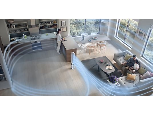 Purificador de Aire Dyson – Modelo 454843-01 | HEPA H13 + Carbón Activo
